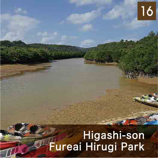 東村ふれあいヒルギ公園