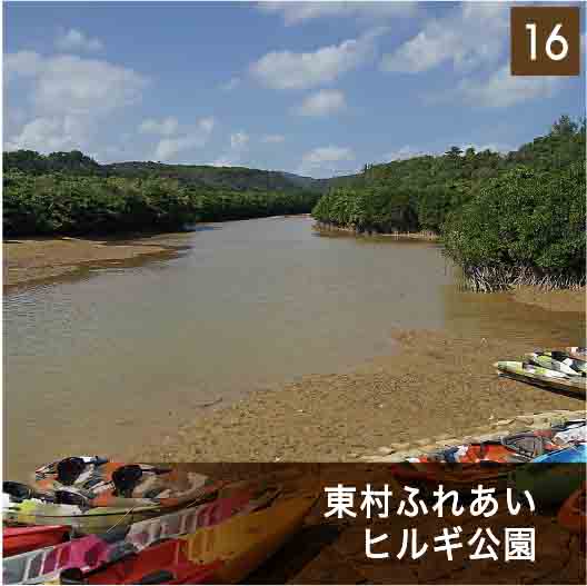 東村ふれあいヒルギ公園